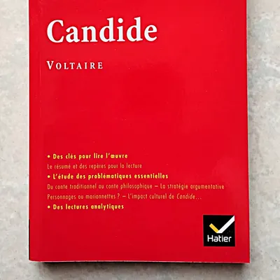 Profil d'une oeuvre Livre Candide ou L'Optimisme De Voltaire